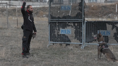 Melo depremden cinayete ekiplerin iz sürücüsü