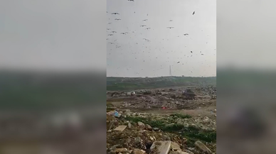 O belediyeye vahşi çöp depolama cezası verildi