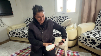 Şehir hayatından sıkılıp köyüne dönen Elif Dağlı, hayvancılığa başladı