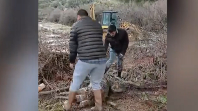 Sel ve toprak kayması nedeniyle 44 küçükbaş telef oldu