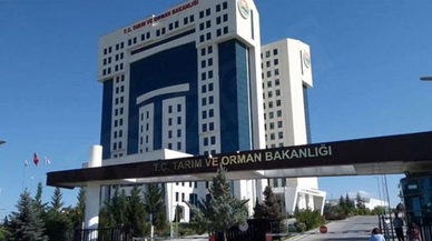 Tarım ve Orman Bakanlığı genelge yayımladı