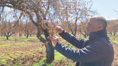 TARSİM’den Kahramanmaraş ve Elazığ’a zirai don çıkarması