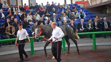 Tüm zamanların rekoru kırıldı