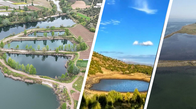 Türkiye'de 5 yer mahalli sulak alan kapsamına alındı