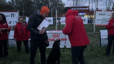 Uluslararası ve Ulusal Arama Köpekleri Sınavı sona erdi