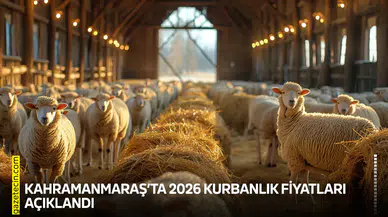 Kahramanmaraş’ta 2026 kurbanlık fiyatları açıklandı