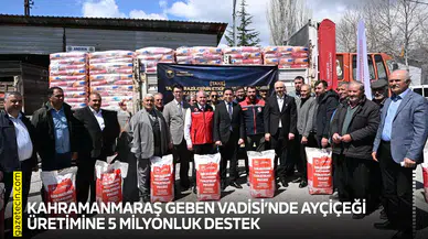 Kahramanmaraş Geben Vadisi’nde ayçiçeği üretimine 5 milyonluk destek