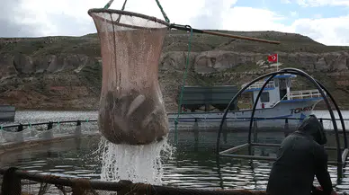 Barajlardaki su seviyesinde yaşanan artış balıkçılara umut oldu