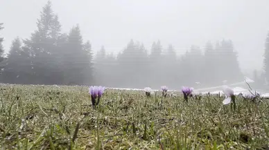 Kış ve ilkbahar bir arada yaşanıyor