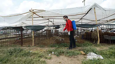 Kahramanmaraş’ta temizlik ve ilaçlama çalışmaları aralıksız devam ediyor