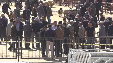 Hayvan pazarında kavga!  1 kişi öldü, 13 kişi yaralandı