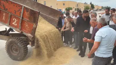 Mardin'de sezonun ilk arpa hasadı yapıldı