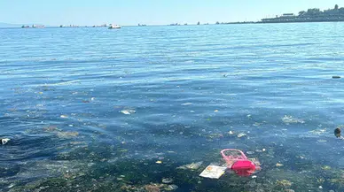 Tüketim alışkanlıkları deniz sağlığını da etkiliyor