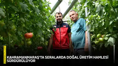 Kahramanmaraş'ta seralarda doğal üretim hamlesi sürdürülüyor