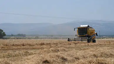 Güneydoğu’dan 5 ayda 1,5 milyar dolarlık hububat ihracatı yapıldı