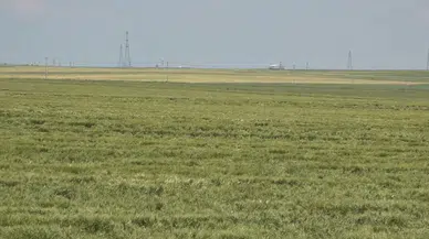 Dicle Üniversitesi yerleşkesinde petrol için 6 sondaj kuyusu açılacak
