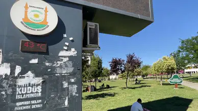 Şanlıurfa'da termometreler 43 dereceyi gösterdi!