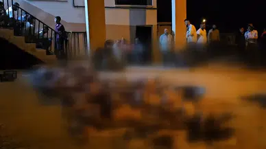 Siirt'te rögardan sızan sudan zehirlenen 32 hayvan telef oldu