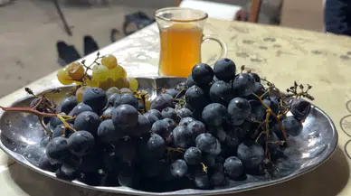 Türkiye’den bir ürün daha tescillendi
