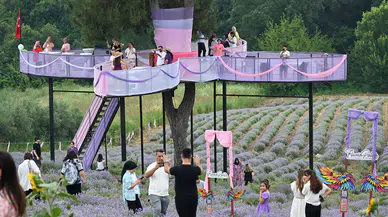 Osmaniye'de Lavanta ve Zeytin Çiçeği Festivali düzenlendi