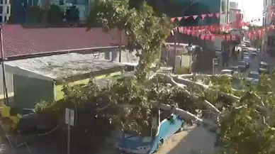 Durakta yolcu alan halk otobüsünün üzerine ağaç devrildi
