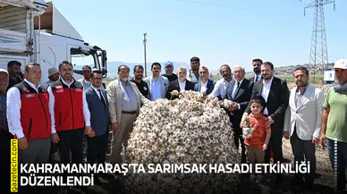 Kahramanmaraş'ta sarımsak hasadı etkinliği düzenlendi