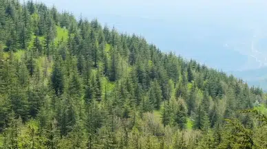 Çevreye 7 yılda toplam 4,41 milyar liralık yatırım