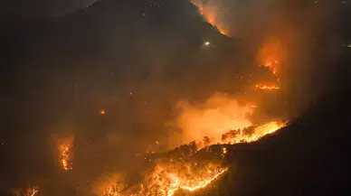 Antalya'da çıkan orman yangınına müdahale ediliyor