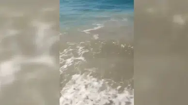 Bodrum'da denizin kirletilmesine ilişkin soruşturma başlatıldı