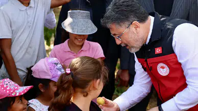 Bakan Yumaklı, Malatya'da kayısı hasadına katıldı