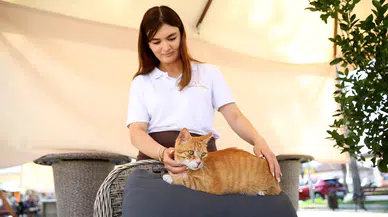 Esnafın evi ve iş yeri sahipsiz kedilerin güvenli limanı oldu