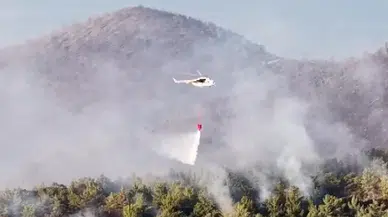 Milas'ta ormanlık alanda yangın! 1120 kişi tahliye edildi