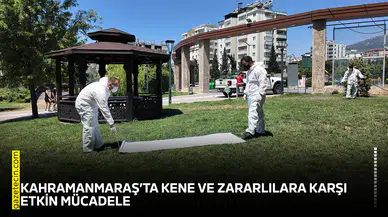 Kahramanmaraş’ta kene ve zararlılara karşı etkin mücadele