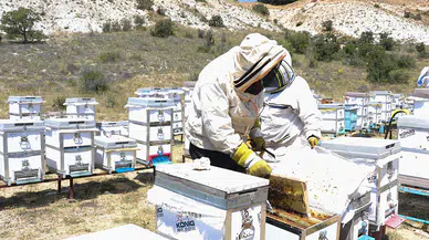 Endemik bitkilerden beslenen arılar, Özvatan balına lezzet katıyor