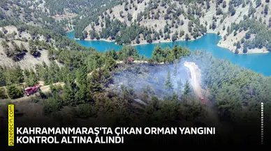 Kahramanmaraş'ta çıkan orman yangını kontrol altına alındı