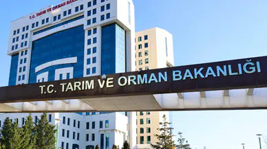 Tarım ve Orman Bakanlığı bin 874 sözleşmeli personel alımı yapacak