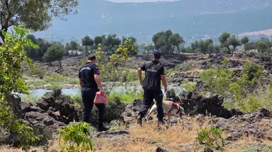 Hayvanlarını otlatmaya çıkaran kadın kayboldu!