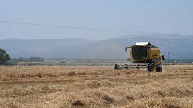 Türkiye'den 6 ayda 5,8 milyar dolarlık hububat ve bakliyat ihracatı