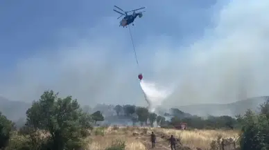 Çanakkale'de ormanlık alanda yangın!