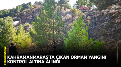 Kahramanmaraş'ta çıkan orman yangını kontrol altına alındı