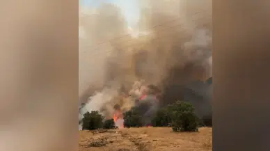 Malatya'da çıkan orman yangınına Kahramanmaraş’tan destek