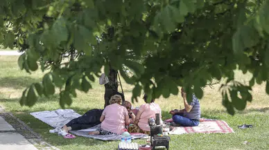 Sıcak havada piknik yapanlara gıda güvenliği uyarısı