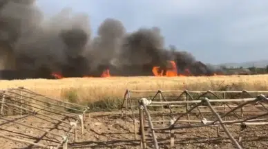 Güneydoğu'da anız yangınlarıyla mücadele sonuç veriyor