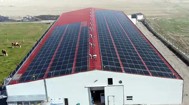 IPARD III kapsamında 634,3 milyon liralık hibe hesaplara yatırıldı