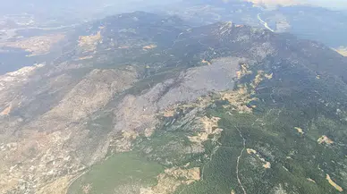 Ormanların korunmasına 6 ayda yaklaşık 16,5 milyar lira harcandı