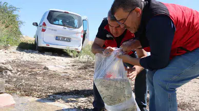 Gaziantep'te iç sulara 1 milyon 98 bin yavru sazan bırakıldı