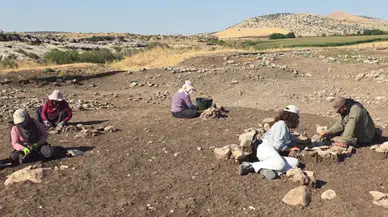 Çayönü Tepesi'nde tarihi kalıntılar gün yüzüne çıkıyor