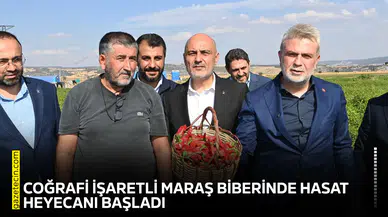 Coğrafi işaretli Maraş Biberinde hasat heyecanı başladı