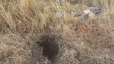 Yeni doğan bebeğin ölümüyle ilgili anne ve anneanne tutuklandı