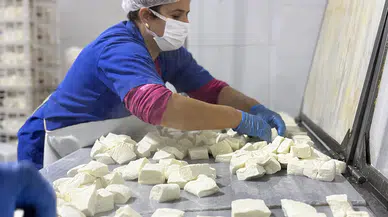 Kahramanmaraş’ta kadın girişimcilerin gücünü artıracak seminer
